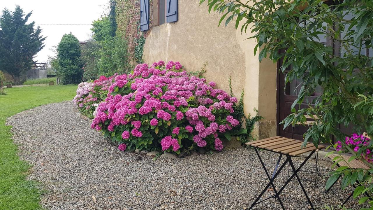 Appartement Le Peyroutet à Cazaux-Villecomtal Extérieur photo